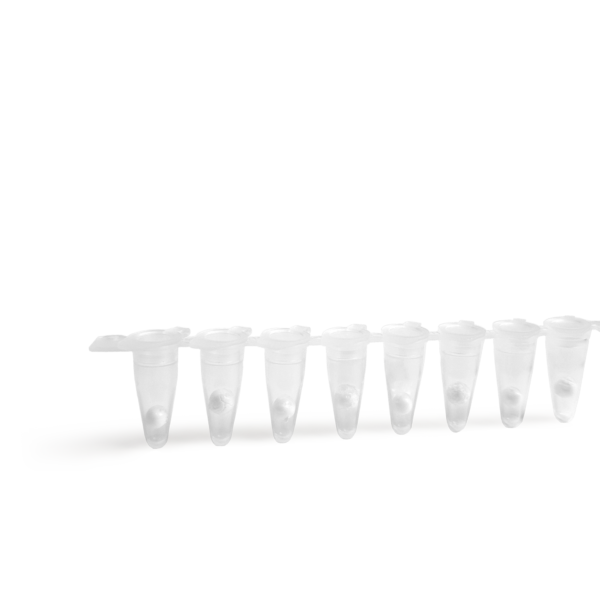 OPEN(REAL-TIME PCR) ExAmplex COVID-19 PCR 3-gene Lyo kit