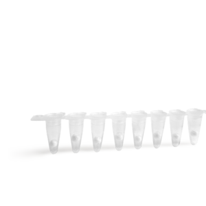 OPEN(REAL-TIME PCR) ExAmplex Influenza A/B SARS-CoV-2 PCR kit